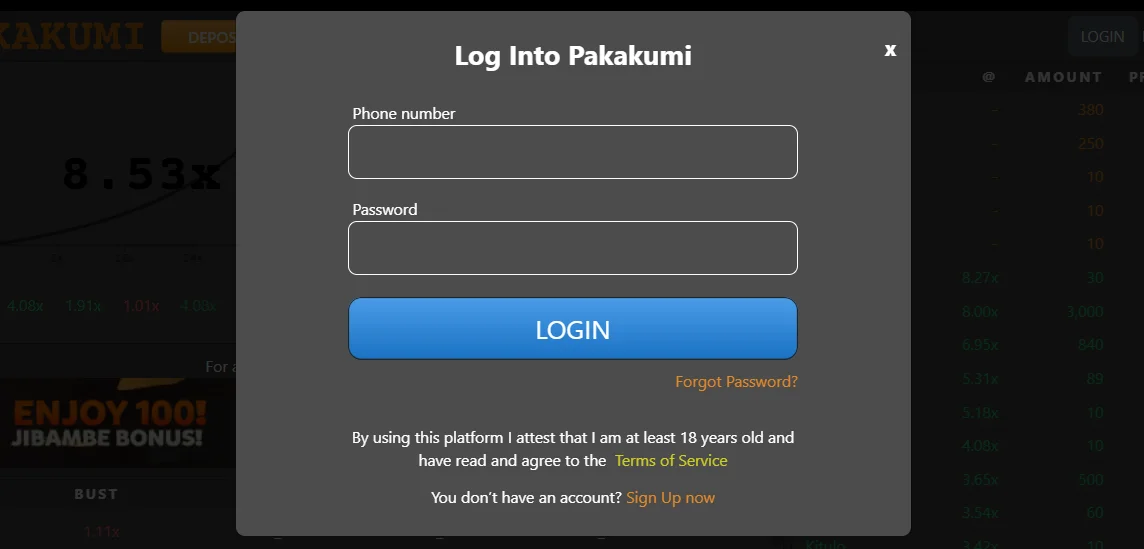 Secure login process for Pakakumi account